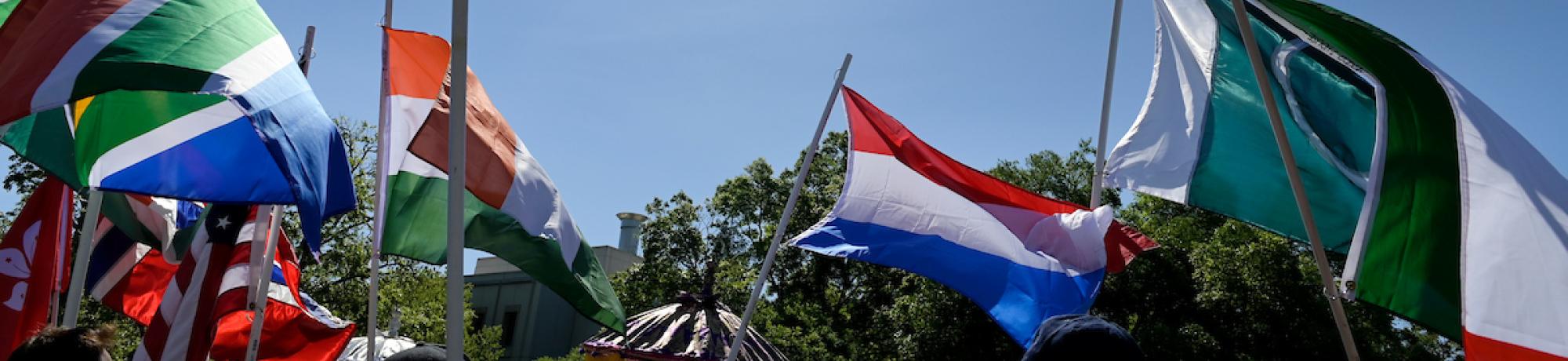 International center flags on Picnic Day