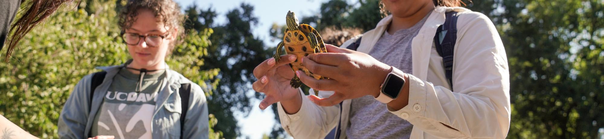 Students holding turtles during a research project near Putah Creek